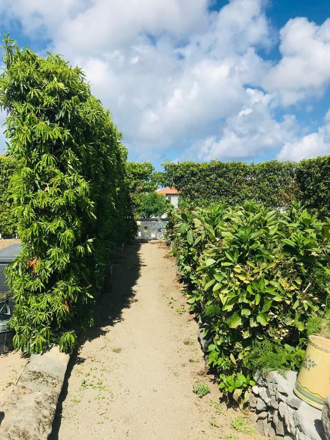 Willa Casas Da Quinta Ribeira Grande Zewnętrze zdjęcie